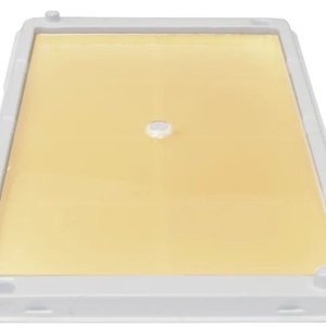 Piège Collant - 10 Pièces 31.5 CM X 21 CM Forte Adhérence