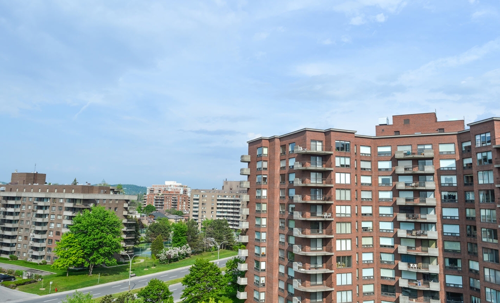 ABC Gestion Parasitaire et Extermination photo 4