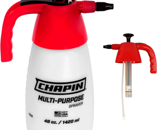 Chapin